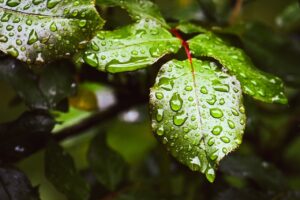 医療アートメイク施術後におすすめの保湿用品は？