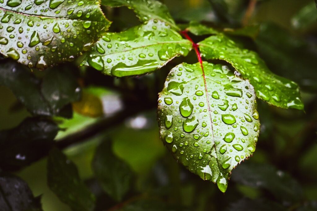 医療アートメイク施術後におすすめの保湿用品は？