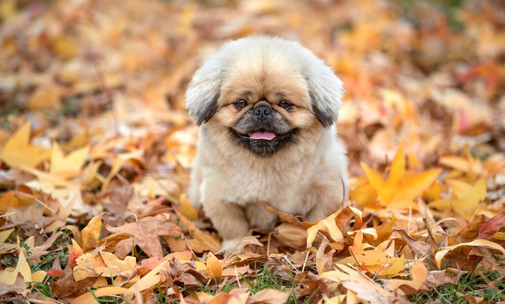 アイラインアートメイクの色落ちが早い原因とは？