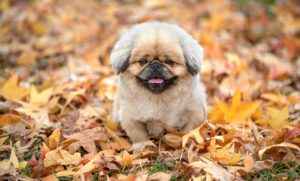 アイラインアートメイクの色落ちが早い原因とは？