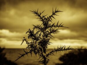 アートメイクのリップ施術時に感じる痛みはどのくらい？