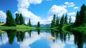 アートメイクの眉における2D、3D、4Dの違いとは？