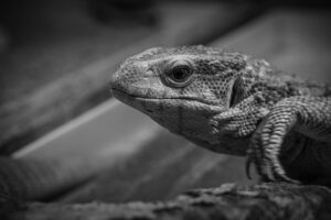 アイラインアートメイクにおすすめのクリニックはどこですか？